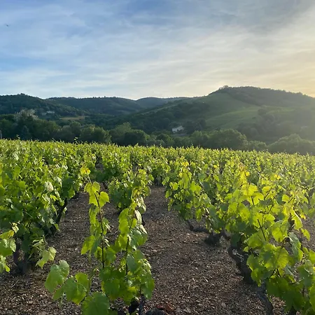 Cadoles Du Domaine De Croifolie * Salles-Arbuissonnas-en-Beaujolais